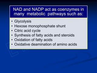 NAD and NADP act as coenzymes in
many metabolic pathways such as:
• Glycolysis
• Hexose monophosphate shunt
• Citric acid cycle
• Synthesis of fatty acids and steroids
• Oxidation of fatty acids
• Oxidative deamination of amino acids
 