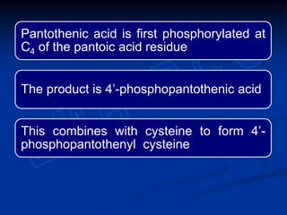 Pantothenic acid is first phosphorylated at
C4 of the pantoic acid residue
The product is 4’-phosphopantothenic acid
This combines with cysteine to form 4’-
phosphopantothenyl cysteine
 
