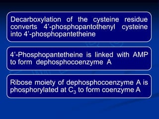 Decarboxylation of the cysteine residue
converts 4’-phosphopantothenyl cysteine
into 4’-phosphopantetheine
4’-Phosphopantetheine is linked with AMP
to form dephosphocoenzyme A
Ribose moiety of dephosphocoenzyme A is
phosphorylated at C3 to form coenzyme A
 