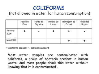 COLIFORMS  (not allowed in water for human consumption) Most water samples are contaminated with coliforms, a group of bacteria present in human waste, and most people drink this water without knowing that it is contaminated . +  coliforms present /  -  coliforms absent - + + - + January 2006 + Barragem do Enxoé Ribeira de Limas Fonte da Figueira + Poço dos Sopos May 2006 Poço de Pias 