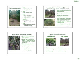 8/3/2014
10
© Project SOUND
Plant Requirements
 Soils:
 Texture: well-drained
 pH: slightly acidic
 Light:
 Full sun to light shade
 Water:
 Winter: needs plenty –
supplement as needed
 Summer: needs some; Water
Zone 2
 Fertilizer:
 none; likes poor soils
 Thin organic mulch/leaf litter
 Other:
 Prune up when young if desired;
remove dead branches©1995 David Graber
Arctostaphylos bakeri ‘Louis Edmunds’
 Natural variant from N. Coast introduced
into gardens in 1962
 Lg shrub/small tree - to 10 feet tall and
will spread 6 – 8 feet.
 Open habit; nice branch structure
 Small light gray-green leaves.
 Adapts to many climates; full sun to part-
shade & tolerates more water than most
manzanitas, but is drought tolerant
 Excellent for a screen or as a focal point
in almost any garden.
 AKA Arctostaphylos stanfordiana bakeri
'Louis Edmonds'
© Project SOUND
http://plantplanet.wordpress.com/2010/12/29/005-arctostaphylos-bakeri-louis-edmunds-louis-
edmunds-manzanita/
Why choose Manzanita cultivars?
 Because they have better size,
shape, color, etc.
 Because they often are better
adapted to garden conditions (and
therefore more likely to thrive in
your garden)
 Garden tolerance - cultivars are
often more tolerant of:
 A little extra water
 Soils that are not perfectly
drained
 Heat and cold
 Salinity and higher pH
© Project SOUND
Which Manzanita to choose?
‘Howard McMinn’
 Adaptable
 Good track record in gardens
 Available
 Rather dense foliage
‘Louis Edmonds
 Adaptable
 Good track record in gardens
 Available
 More open foliage
© Project SOUND
 