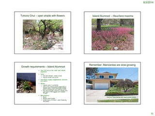 8/3/2014
11
Tohono Chul – open shade with flowers
© Project SOUND
http://davidandlindab.blogspot.com/2011/04/tohono-chul-park.html
Island Alumroot – Heuchera maxima
J.S. Peterson @ USDA-NRCS PLANTS Database
Growth requirements – Island Alumroot
 Sun: Full sun on the coast, part shade
anywhere
 Soils:
 Any well-drained – sandy is best
 Any pH except very acidic
 Nutrients: organic supplements, mulches
are useful
 Water:
 regular water to establish
 two to four times a month (especially in
summer and at inland locations) to keep
plants looking green and lengthen bloom.
 Are fairly drought tolerant in shady sites –
just look a little raggedy with summer
drought
 Maintenance:
 Mulch
 Remove dead foliage
 Divide every 3-5 years – when flowering
decreases
http://www.gardenbuddies.com/forum/messages/4314/6145.html
© Project SOUND
Remember, Manzanitas are slow-growing
And our Heucheras will need some shade
 