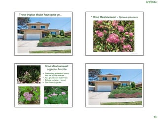 8/3/2014
14
© Project SOUND
Those tropical shrubs have gotta go…
Carex ‘lawn’
© Project SOUND
* Rose Meadowsweet – Spiraea splendens
©2011 Kelsey Byers
© Project SOUND
Rose Meadowsweet:
a garden favorite
 In woodland garden with others
that like a little moisture
 As a groundcover under trees
 In large containers – accent
 In a butterfly garden
Gary A. Monroe @ USDA-NRCS PLANTS Database
http://www.nwplants.com/business/catalog/spi_spl.html Photo credit: cascade hiker / Foter / CC BY-NC-SA © Project SOUND
 