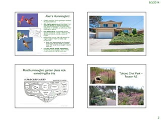 8/3/2014
2
© Project SOUND
Allen’s Hummingbird
 Common in brushy woods, gardens & meadows
of coastal California
 Male highly aggressive and territorial. Hot-
tempered despite its diminutive stature, a
male Allen's Hummingbird will chase other
males from its territory, as well as any other
hummingbird species
 Eats mainly nectar (occasionally eating
spiders and insects it finds in flowers). The
spiders and insects provide a source of
protein.
 Need nectar sources with high amounts of
sugar to support their incredibly high
metabolisms.
 Must visit approximately one thousand
flowers per day and needs to consume
more than twice its own weight in nectar
each day.
 Has very general nesting requirements -
will nest in trees, shrubs, or herbs. Nests
are very small and tightly woven cups.
http://hummingbirds.arizona.edu/Web%20pictures/Allen's%20male_salal_Melton.png
http://www.shawcreekbirdsupply.com/allens_hummingbird_map.htm
© Project SOUND
Most hummingbird garden plans look
something like this
© Project SOUND
http://www.michigandnr.com/publications/pdfs/huntingwildlifehabitat/landowners_guide/habitat_mgmt/backyard/Special_Gardens.htm
Tohono Chul Park –
Tucson AZ
© Project SOUNDhttp://www.gogobot.com/tohono-chul-park-tucson-attraction
http://arizonaforboomers.com/
 