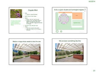 8/3/2014
23
© Project SOUND
Coyote Mint
 Soils:
 Texture: any well-drained
 Light: full sun to part shade
 Water:
 Winter: don’t let it get too wet
 Summer: best with slightly damp to
slightly dry sandy soil; don’t over-
water – will make it leggy and decrease
it’s lifespan
 Fertilizer: none; likes poor soils
 Other:
 Pinch tips to promote fuller growth
 Shear back to about 1/3 of it’s volume in
fall/winter
If the plant loses its leaves
to drought during the hot
months, it will leaf out
again with rain and cooler
weather.
So far, so good: all plants are hummingbird magnets
© Project SOUND
porch
house
Vegetable/Annuals
N
6’ 4’
Medium or large shrubs needed to block the view
© Project SOUND © Project SOUND
We envision something like this
 