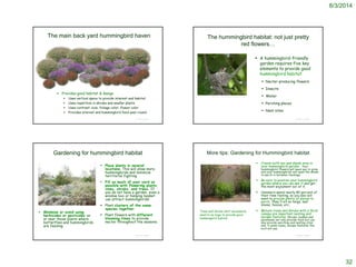 8/3/2014
32
The main back yard hummingbird haven
© Project SOUND
 Provides good habitat & design
 Uses vertical space to provide interest and habitat
 Uses repetition in shrubs and smaller plants
 Uses contrast: size; foliage color; flower color
 Provides interest and hummingbird food year-round
© Project SOUND
The hummingbird habitat: not just pretty
red flowers…
 A hummingbird-friendly
garden requires five key
elements to provide good
hummingbird habitat
 Nectar-producing flowers
 Insects
 Water
 Perching places
 Nest sites
http://www.morrocoastaudubon.org/pics/alhumas.jpg
© Project SOUND
Gardening for hummingbird habitat
 Place plants in several
locations. This will allow more
hummingbirds and minimize
territorial fighting
 Fill as much of your yard as
possible with flowering plants,
vines, shrubs, and trees. If
you do not have a garden, even a
window box or hanging basket
can attract hummingbirds!
 Plant clusters of the same
species together.
 Plant flowers with different
blooming times to provide
nectar throughout the seasons.
 Minimize or avoid using
herbicides or pesticides on
or near those plants where
butterflies and hummingbirds
are feeding.
© Project SOUND
More tips: Gardening for Hummingbird habitat
 Create both sun and shade area in
your hummingbird garden. Your
hummingbird flowers will need sun to grow
and your hummingbirds will need the shade
to perch in between feedings.
 Be sure to position your hummingbird
garden where you can see it and get
the most enjoyment out of it.
 Hummers spend nearly 80 percent of
their time resting, so you also will
want to provide plenty of places to
perch. They'll sit on twigs, leaf
stems, fences, etc..
 Mature trees and shrubs with a thick
canopy are important nesting and
escape features. Shrubs, bushes and
perennials not only provide food but can
also provide perching and nesting sites
and, in some cases, escape features the
bird will use.
Trees and shrubs don’t necessarily
need to be huge to provide good
hummingbird habitat
 