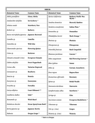 SHRUBS
Botanical Name             Common Name                     Botanical Name           Common Name
Abelia grandiflora         Glossy Abelia                   Myrica Californica       Bayberry Pacific Wax
                                                                                    Myrtle *
Amelanchier alnifolia      Serviceberry *
                                                           Nandina domestica        Heavenly Bamboo
Arbutus unedo              Strawberry Tree
                                                           Oemleria cerasiformis    Indian Plum *
Berberis sp.               Barberry
                                                           Osmanthus sp.            Osmanthus
Buxus microphylia japonica Japanese Boxwood
                                                           Philadelphus lewisii     Mock Orange *
Camellia sp.               Camellia
                                                           Photinia sp.             Photinia
Ceanothus sp.              Wild Lilac
                                                           Pittosporum sp.          Pittosporum
Chaenomeles speciosa       Flowering Quince
                                                           Potentilla fruticosa     Bush Cinquefoil
Cistus sp.                 Rockrose                        Rhamnus purshiana        Cascara *
Clematis armandii (vine)   Evergreen Clematis              Ribes sanguineum         Red Flowering Current *

Clethra alnifolia          Sweet Pepperbush                Rhus typhina             Sumac

Cornus alba                Tartarian Dogwood               Ribes sp.                Currant, Gooseberry

Cotoneaster sp.            Bearberry                       Rosa rugosa              Rugosa Rose

Deutzia sp.                Deutzia                         Rosmarinus officinalis   Rosemary

Euonymus sp.               Eunonymus                       Spirea sp.               Bridal Wealth

Forsythia sp.              Forsythia                       Stanvaesia davidiana     Stanvaesia

Garrya elliptica           Coast Silktassel **             Symphoricarpos albus     Snowberry *

Gaultheria shallon         Salal *                         Syringa sp.              Lilac

Hamamelis sp.              Witch Hazel                     Vaccinium ovatum         Evergreen Huckleberry *

Holodiscus discolor        Ocean SprayCream Bush*          Viburnum sp.             Viburnum

Kerria japonica sp.        Japanese Kerria                 Vitis sp. (vine)         Grapes

Mahonia                    Oregon Grape *                  Wisteria sp. (vine)      Wisteria

                                                 * Native to Oregon
 