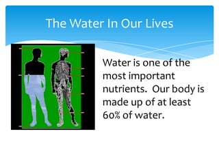 The Water In Our Lives
Water is one of the
most important
nutrients. Our body is
made up of at least
60% of water.

 
