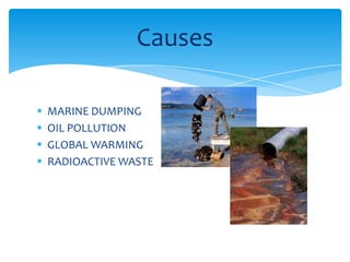 Causes





MARINE DUMPING
OIL POLLUTION
GLOBAL WARMING
RADIOACTIVE WASTE

 
