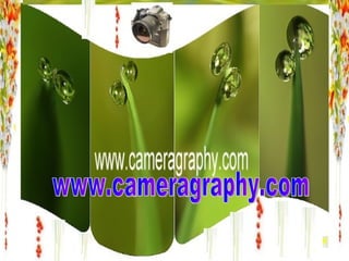 www.cameragraphy.com 