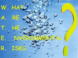 W. HAT A.  RE T.  HE E.  NVIRONMENTAL R.  ISKS ? 