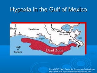 Hypoxia in the Gulf of MexicoHypoxia in the Gulf of Mexico
From NCAT (Nat’l Center for Appropriate Technology)
http://www.ncat.org/nutrients/hypoxia/hypoxia.html
 