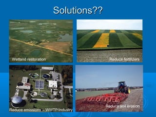 Solutions??Solutions??
Wetland restoration Reduce fertilizers
Reduce emissions – WWTP/industry
Reduce soil erosion
 