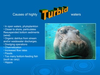 Causes of highly waters
• In open waters, phytoplankton
• Closer to shore, particulates
Resuspended bottom sediments
(wind)
• Organic detritus from stream
and/or wastewater discharges.
• Dredging operations
• Channelization
• Increased flow rates
• Floods
• Too many bottom-feeding fish
(such as carp)
• Hippos
 