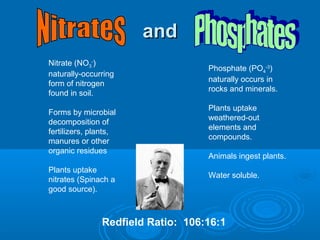andand
Nitrate (NO3
-
)
naturally-occurring
form of nitrogen
found in soil.
Forms by microbial
decomposition of
fertilizers, plants,
manures or other
organic residues
Plants uptake
nitrates (Spinach a
good source).
Phosphate (PO4
-3
)
naturally occurs in
rocks and minerals.
Plants uptake
weathered-out
elements and
compounds.
Animals ingest plants.
Water soluble.
Redfield Ratio: 106:16:1
 
