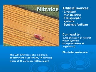 NitratesNitrates
The U.S. EPA has set a maximum
contaminant level for NO3
-
in drinking
water of 10 parts per million (ppm)
Artificial sources:
• Livestock
manure/urine
• Failing septic
systems
• Synthetic fertilizers
Can lead to:
eutrophication of natural
water systems
(overproduction of
vegetation)
Blue baby syndromne
 