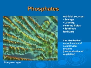 Artificial sources:
• Sewage
• Laundry,
cleaning fluids
• Synthetic
fertilizers
Can also lead to
eutrophication of
natural water
systems
(overproduction of
vegetation)
PhosphatesPhosphates
Blue green algae
 