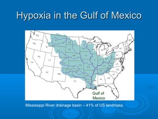 Hypoxia in the Gulf of MexicoHypoxia in the Gulf of Mexico
Gulf of
Mexico
Mississippi River drainage basin – 41% of US landmass.
 