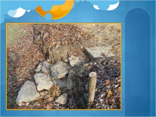 Water 31 60