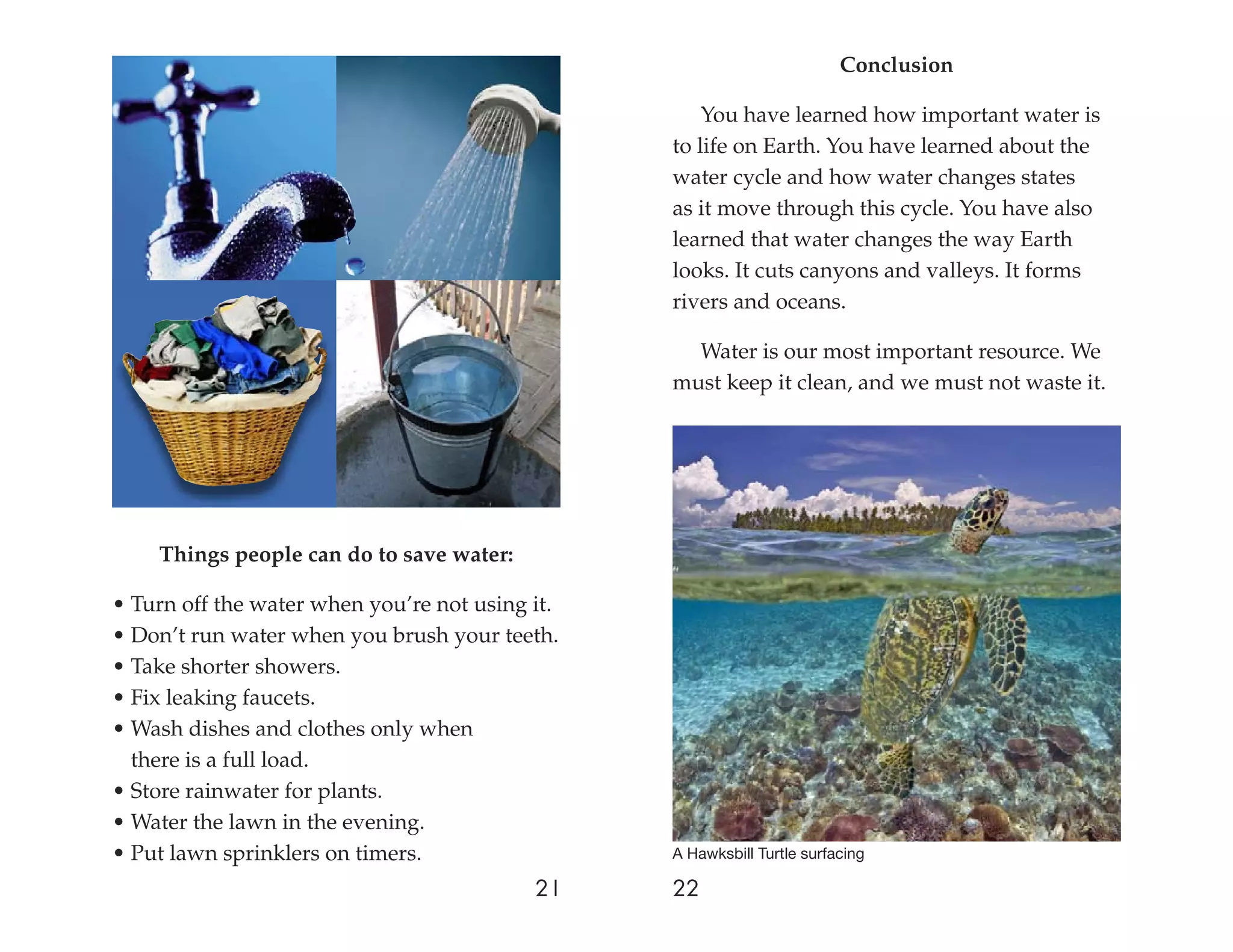 Conclusion

                                                     You have learned how important water is
                                                 to life on Earth. You have learned about the
                                                 water cycle and how water changes states
                                                 as it move through this cycle. You have also
                                                 learned that water changes the way Earth
                                                 looks. It cuts canyons and valleys. It forms
                                                 rivers and oceans.

                                                   Water is our most important resource. We
                                                 must keep it clean, and we must not waste it.




    Things people can do to save water:

• Turn off the water when you’re not using it.
• Don’t run water when you brush your teeth.
• Take shorter showers.
• Fix leaking faucets.
• Wash dishes and clothes only when
  there is a full load.
• Store rainwater for plants.
• Water the lawn in the evening.
• Put lawn sprinklers on timers.                 A Hawksbill Turtle surfacing

                                           21    22
 