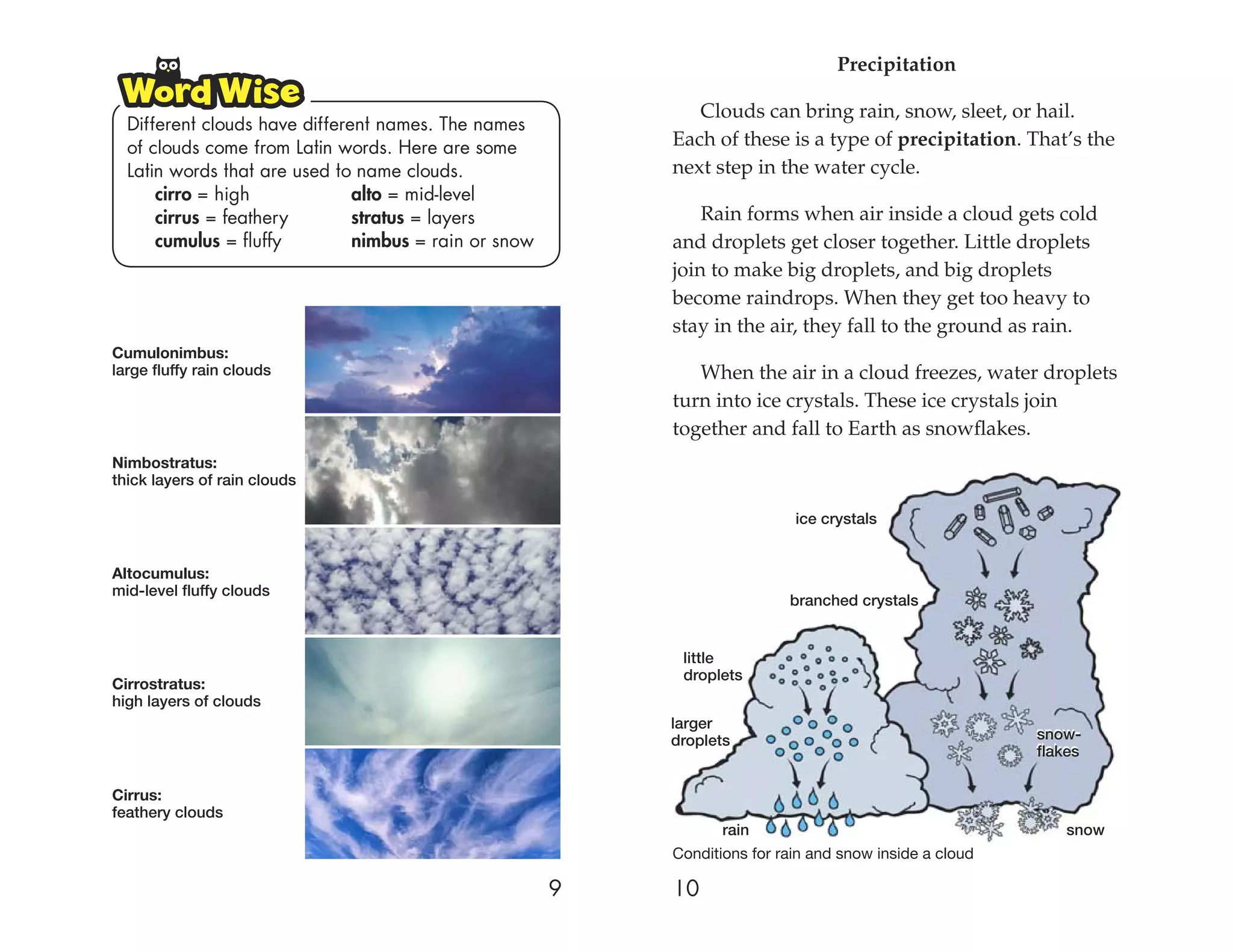 Precipitation

                                                              Clouds can bring rain, snow, sleet, or hail.
  Different clouds have different names. The names
  of clouds come from Latin words. Here are some           Each of these is a type of precipitation. That’s the
  Latin words that are used to name clouds.                next step in the water cycle.
      cirro = high             alto = mid-level
      cirrus = feathery        stratus = layers                Rain forms when air inside a cloud gets cold
      cumulus = ﬂuffy          nimbus = rain or snow       and droplets get closer together. Little droplets
                                                           join to make big droplets, and big droplets
                                                           become raindrops. When they get too heavy to
                                                           stay in the air, they fall to the ground as rain.
Cumulonimbus:
large fluffy rain clouds                                      When the air in a cloud freezes, water droplets
                                                           turn into ice crystals. These ice crystals join
                                                           together and fall to Earth as snowﬂakes.
Nimbostratus:
thick layers of rain clouds

                                                                            ice crystals


Altocumulus:
mid-level fluffy clouds
                                                                           branched crystals


                                                            little
                                                            droplets
Cirrostratus:
high layers of clouds
                                                           larger
                                                                                                         snow-
                                                           droplets
                                                                                                         flakes

Cirrus:
feathery clouds
                                                                  rain                                       snow
                                                           Conditions for rain and snow inside a cloud

                                                       9   10
 
