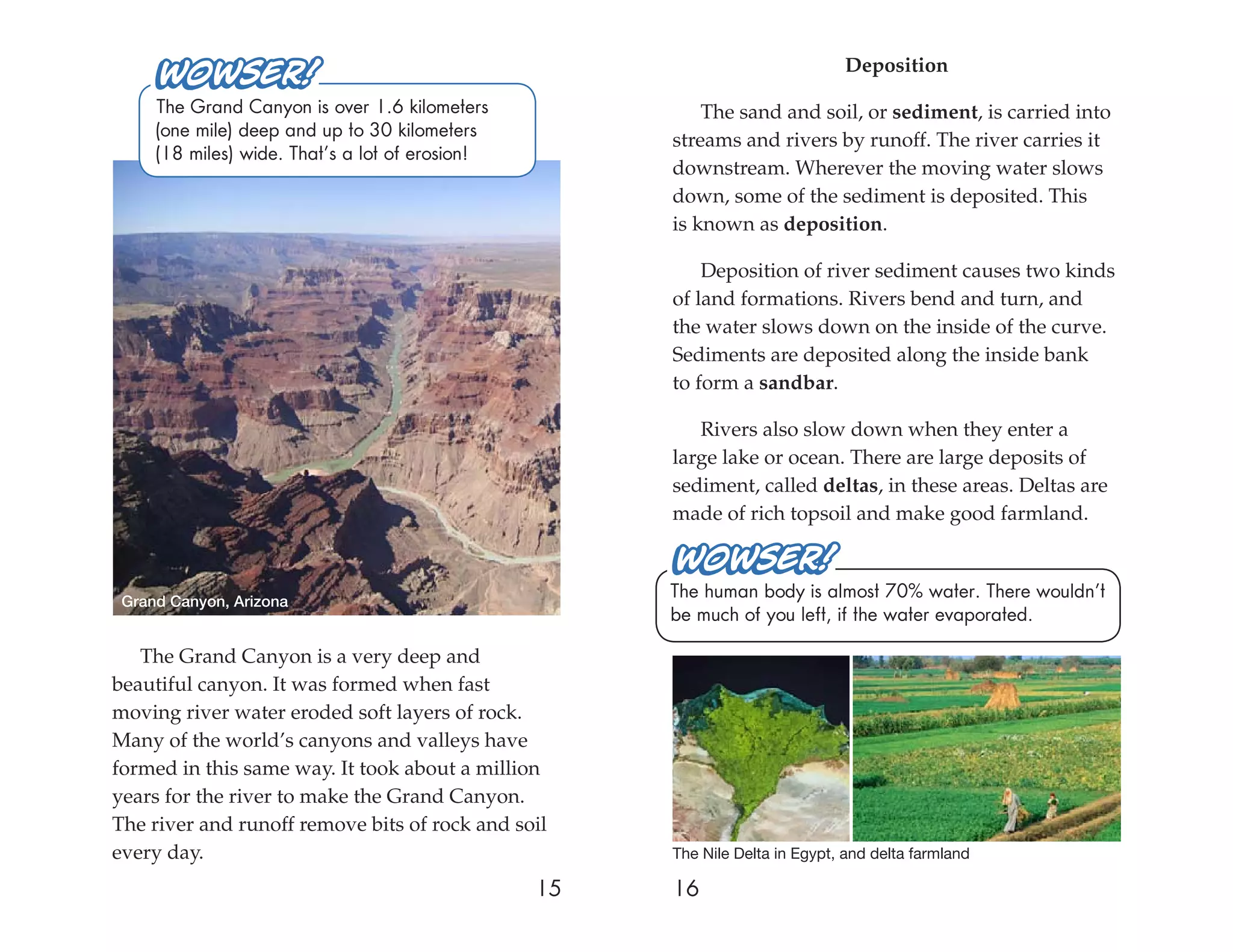 Deposition

     The Grand Canyon is over 1.6 kilometers              The sand and soil, or sediment, is carried into
     (one mile) deep and up to 30 kilometers
                                                      streams and rivers by runoff. The river carries it
     (18 miles) wide. That’s a lot of erosion!
                                                      downstream. Wherever the moving water slows
                                                      down, some of the sediment is deposited. This
                                                      is known as deposition.

                                                          Deposition of river sediment causes two kinds
                                                      of land formations. Rivers bend and turn, and
                                                      the water slows down on the inside of the curve.
                                                      Sediments are deposited along the inside bank
                                                      to form a sandbar.

                                                         Rivers also slow down when they enter a
                                                      large lake or ocean. There are large deposits of
                                                      sediment, called deltas, in these areas. Deltas are
                                                      made of rich topsoil and make good farmland.



 Grand Canyon, Arizona
                                                      The human body is almost 70% water. There wouldn’t
                                                      be much of you left, if the water evaporated.

   The Grand Canyon is a very deep and
beautiful canyon. It was formed when fast
moving river water eroded soft layers of rock.
Many of the world’s canyons and valleys have
formed in this same way. It took about a million
years for the river to make the Grand Canyon.
The river and runoff remove bits of rock and soil
every day.                                            The Nile Delta in Egypt, and delta farmland

                                                 15   16
 