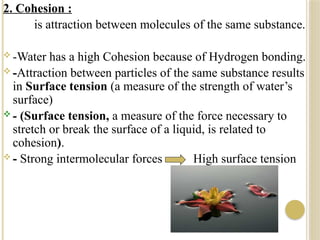 Particle Cohesion Biochemistry lecture- Water and aqueous solutions | PPTX