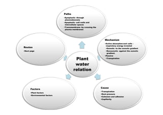 Plant Water Relation | PDF