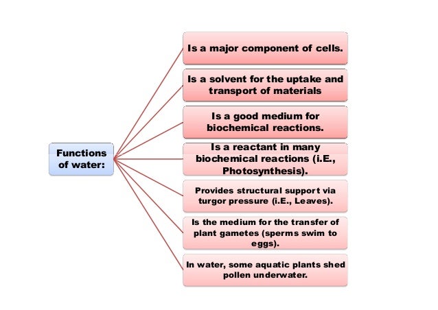 PLANT WATER RELATION EPUB DOWNLOAD PLANT WATER RELATION EPUB DOWNLOAD