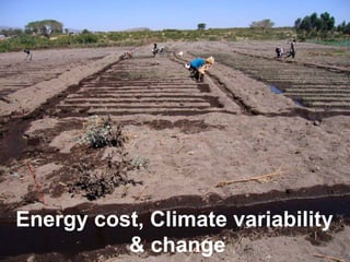 Energy cost, Climate variability
          & change
 