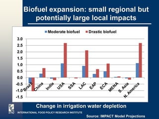 Biofuel expansion: small regional but
          potentially large local impacts
                    Moderate biofuel            Drastic biofuel
3.0
2.5
2.0
1.5
1.0
0.5
0.0
-0.5
-1.0
-1.5

            Change in irrigation water depletion
INTERNATIONAL FOOD POLICY RESEARCH INSTITUTE
                                               Source: IMPACT Model Projections
 