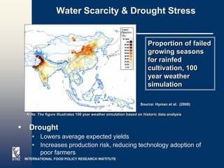 Water Scarcity & Drought Stress


                                                                         Proportion of failed
                                                                         growing seasons
                                                                         for rainfed
                                                                         cultivation, 100
                                                                         year weather
                                                                         simulation

                                                                     Source: Hyman et al. (2008)

     Note: The figure illustrates 100 year weather simulation based on historic data analysis


     Drought
       • Lowers average expected yields
       • Increases production risk, reducing technology adoption of
         poor farmers
    INTERNATIONAL FOOD POLICY RESEARCH INSTITUTE
 