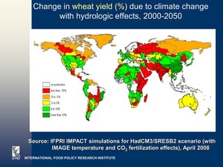 Change in wheat yield (%) due to climate change
          with hydrologic effects, 2000-2050




 Source: IFPRI IMPACT simulations for HadCM3/SRESB2 scenario (with
          IMAGE temperature and CO2 fertilization effects), April 2008
INTERNATIONAL FOOD POLICY RESEARCH INSTITUTE                    Page 22
 