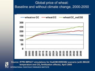 Global price of wheat:
    Baseline and without climate change, 2000-2050

                 wheat no CC            wheat CC   wheat CC_noCO2

          300
          250
          200
          150
          100
           50
             0
                 2000
                 2003
                 2006
                 2009
                 2012
                 2015
                 2018
                 2021
                 2024
                 2027
                 2030
                 2033
                 2036
                 2039
                 2042
                 2045
                 2048
Source: IFPRI IMPACT simulations for HadCM3/SRESB2 scenario (with IMAGE
        temperature and CO2 fertilization effects), April 2008
INTERNATIONAL FOOD POLICY RESEARCH INSTITUTE                        Page 23
 