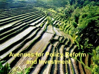 Avenues for Policy Reform
     and Investment
 