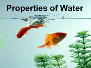 Properties of Water
 