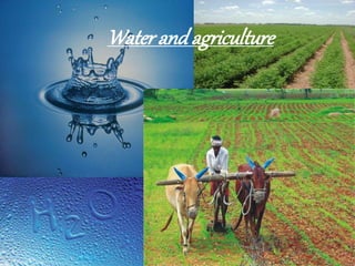 Water and agriculture
 