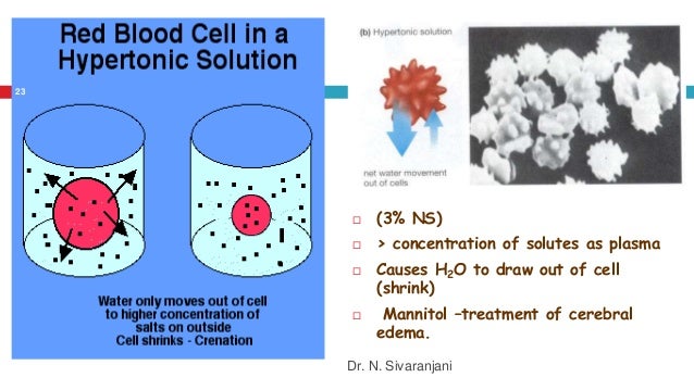 composition normal 0.45 saline of and electrolyte Water composition normal 0.45 saline of and electrolyte Water