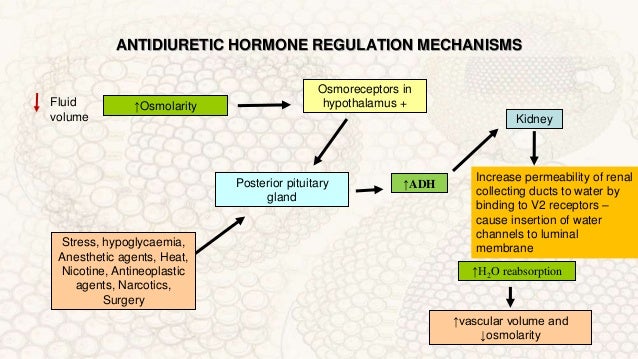 Water And Electrolyte - 