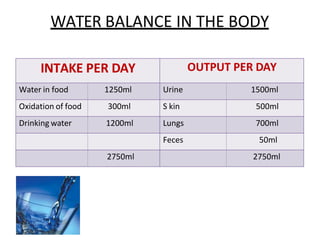 WATER BALANCE IN THE BODY
INTAKE PER DAY OUTPUT PER DAY
Water in food 1250ml Urine 1500ml
Oxidation of food 300ml S kin 500ml
Drinking water 1200ml Lungs 700ml
Feces 50ml
2750ml 2750ml
 