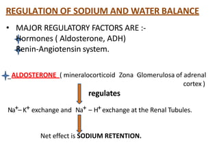REGULATION OF SODIUM AND WATER BALANCE
• MAJOR REGULATORY FACTORS ARE :-
Hormones ( Aldosterone, ADH)
Renin-Angiotensin system.
ALDOSTERONE ( mineralocorticoid Zona Glomerulosa of adrenal
cortex )
regulates
Na+– K+ exchange and Na+ – H+exchange at the Renal Tubules.
Net effect is SODIUM RETENTION.
 