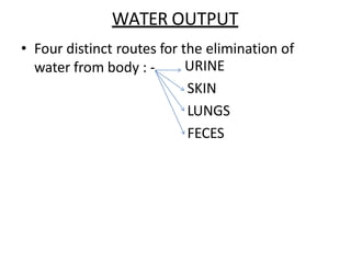 WATER OUTPUT
• Four distinct routes for the elimination of
water from body : - URINE
SKIN
LUNGS
FECES
 