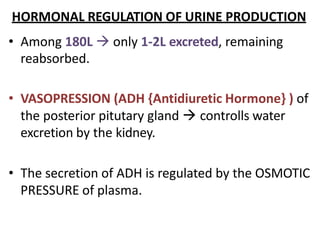 HORMONAL REGULATION OF URINE PRODUCTION
• Among 180L  only 1-2L excreted, remaining
reabsorbed.
• VASOPRESSION (ADH {Antidiuretic Hormone} ) of
the posterior pitutary gland  controlls water
excretion by the kidney.
• The secretion of ADH is regulated by the OSMOTIC
PRESSURE of plasma.
 