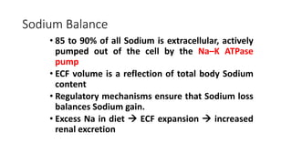 WATER AND ELECTROLYTE BALANCE.pptx