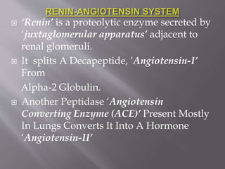  ‘Renin’ is a proteolytic enzyme secreted by
‘juxtaglomerular apparatus’ adjacent to
renal glomeruli.
 It splits A Decapeptide, ‘Angiotensin-I’
From
Αlpha-2 Globulin.
 Another Peptidase ‘Angiotensin
Converting Enzyme (ACE)’ Present Mostly
In Lungs Converts It Into A Hormone
‘Angiotensin-II’
 