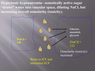 Water in ICF and
interstitial ECF
[NaCl] =
140 [NaCl] =
123
Glucose,
mannitol,
glycerol
Hypertonic hyponatremia– osmotically active sugar
“draws” water into vascular space, diluting NaCl, but
increasing overall osmolarity (tonicity).
Osmolarity (tonicity)
increased
 
