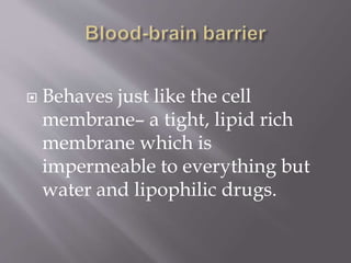  Behaves just like the cell
membrane– a tight, lipid rich
membrane which is
impermeable to everything but
water and lipophilic drugs.
 