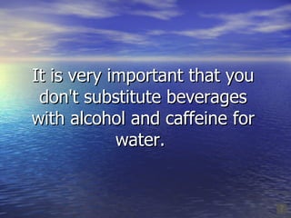It is very important that you don't substitute beverages with alcohol and caffeine for water.  