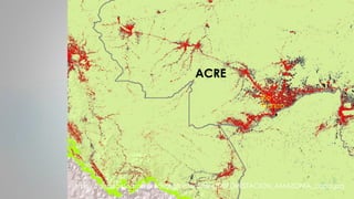 Eastern Acre, Brazil,
deforested area is
the size of
Connecticut.
http://raisg.socioambiental.org/system/files/DEFORES
TAC...