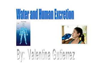 Water and Human Excretion By:  Valentina Gutierrez 